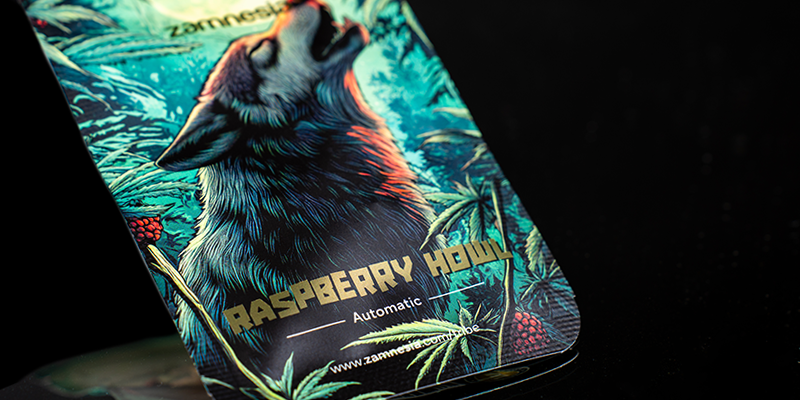 Rank 3: Raspberry Howl Automatic (Zamnesia Seeds) Rank 3: Raspberry Howl Automatic (Zamnesia Seeds)
