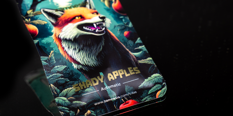 Rank 1: Shady Apples Automatic (Zamnesia Seeds) Rank 1: Shady Apples Automatic (Zamnesia Seeds)