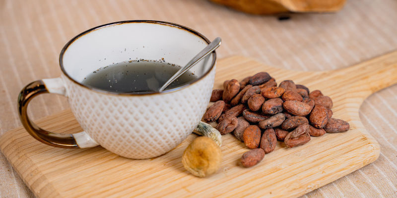 Så gör du en hemmagjord brygd med magiska svampar och kakao (Chocolātl) Så gör du en hemmagjord brygd med magiska svampar och kakao (Chocolātl)