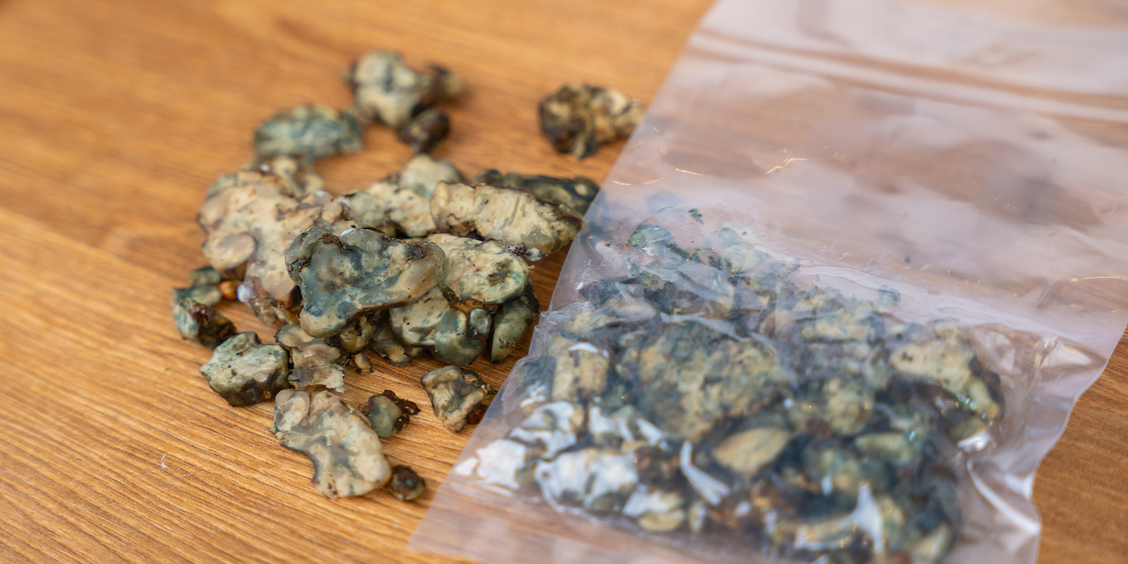 Hur du ser om Magiska tryfflar har blivit dåliga How to tell if magic truffles have gone bad