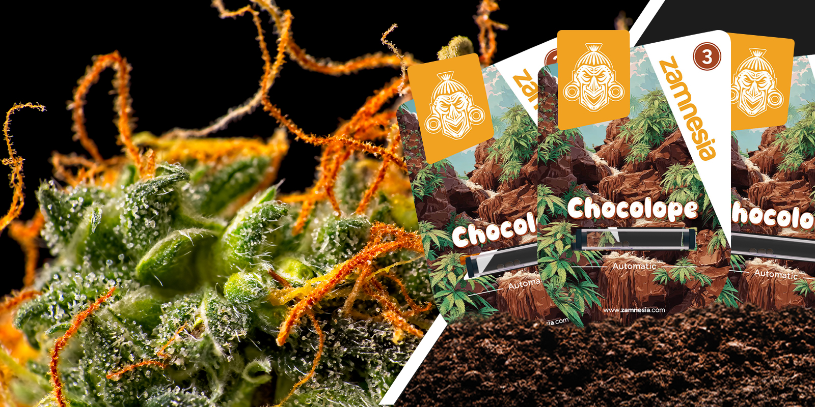 Chocolope: En nostalgisk känsla med en chokladtwist Chocolope: En nostalgisk känsla med en chokladtwist