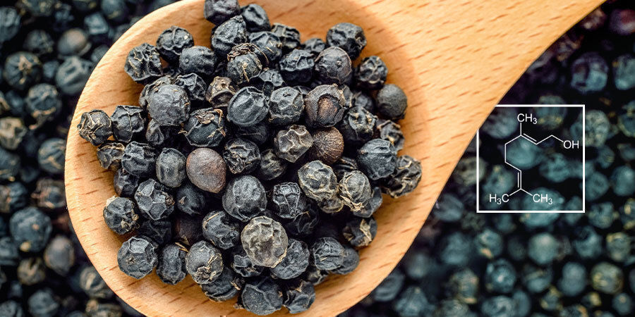 Vetenskapen bakom terpener