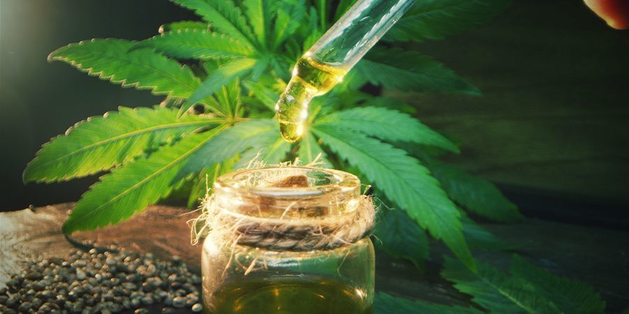 Dosering av cannabisinfuserad olivolja Dosering av cannabisinfuserad olivolja