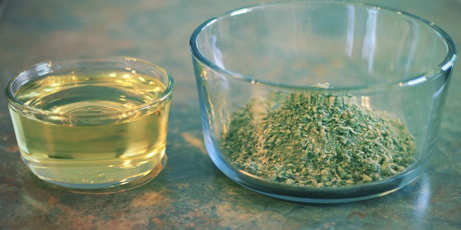 Ingredienser och utrustning Så gör du cannabisinfuserad olivolja: ingredienser och utrustning