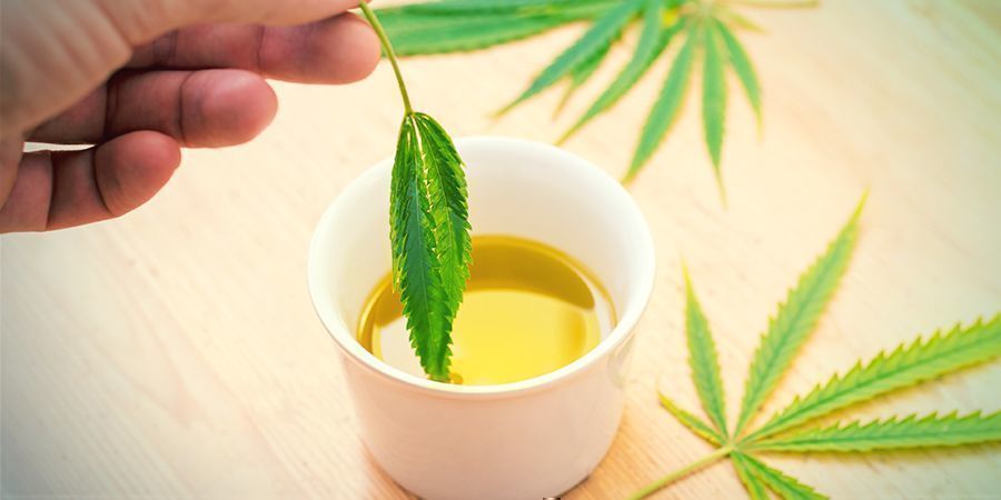 Vad är cannabisinfuserad olivolja? Vad är cannabisinfuserad olivolja?
