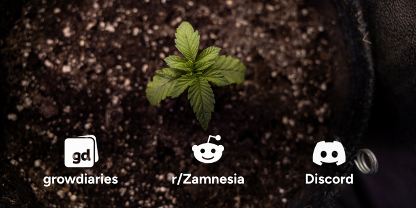Anledning #10: Gå med i en växande gemenskap Reason #10: Join a growing community