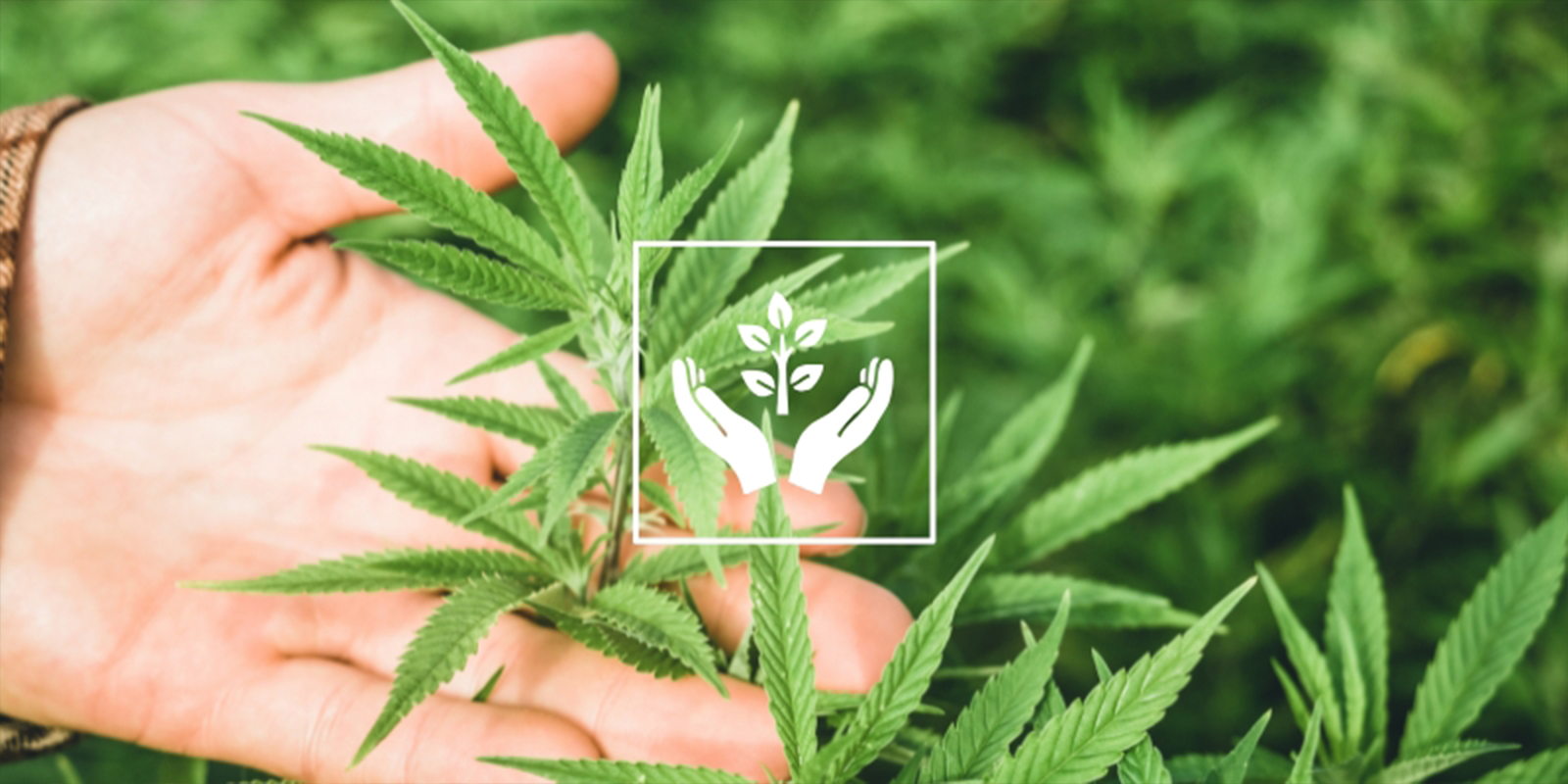 Skäl #8: Terapeutiskt & medvetet Skäl #8: Terapeutiskt & medvetet