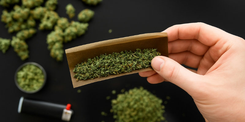 CBD-blomma (mest populär) CBD flower (most popular)