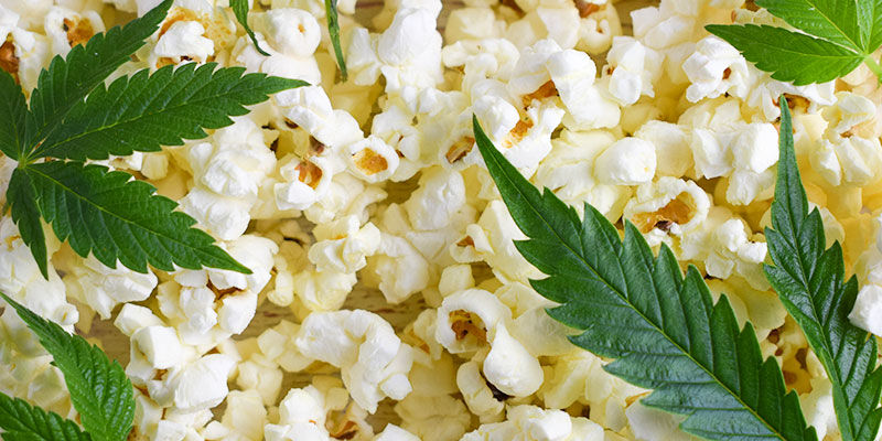 Cannabis Edibles Today Cannabis Edibles Today
