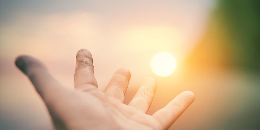 Gör ”handtestet” Gör ”handtestet” – cannabisplantor