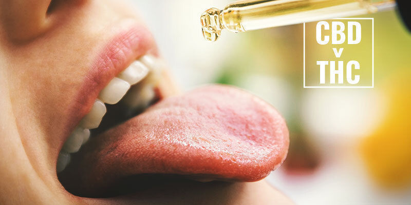 Kan CBD omvandlas till THC i människokroppen? Kan CBD omvandlas till THC i människokroppen?