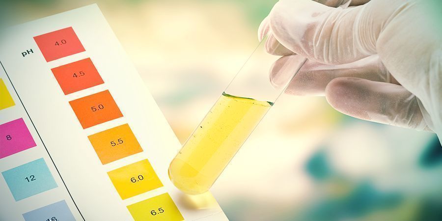Varför är pH så viktigt när du odlar cannabis? VARFÖR ÄR PH SÅ VIKTIGT NÄR DU ODLAR CANNABIS?