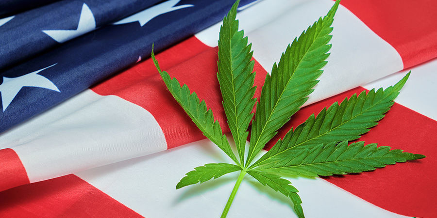 Hur stor är cannabisindustrin i USA? Hur stor är cannabisindustrin i USA?