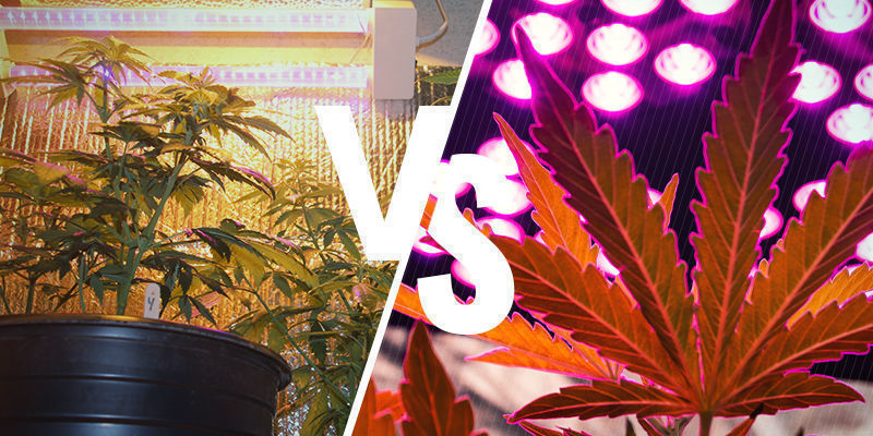 Vilken är bättre: HPS eller LED? Vilken är bättre: HPS eller LED?
