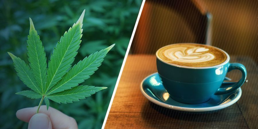 VILKA &Auml;R DE SEPARATA EFFEKTERNA AV MARIJUANA OCH KOFFEIN?