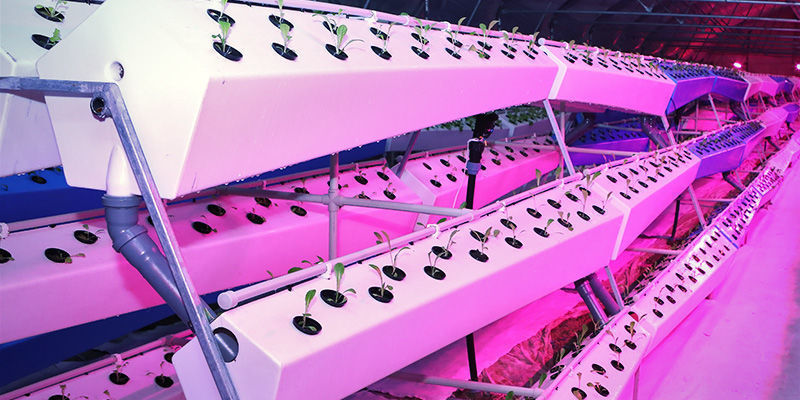 Olika typer av aeroponiska system Different Types of Aeroponic Systems