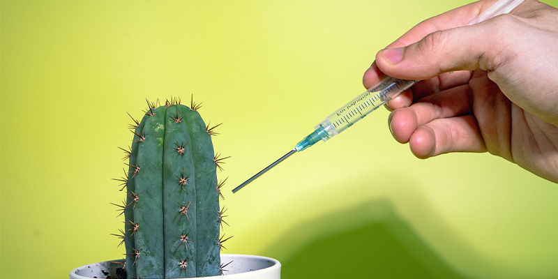 Kemisk doping Chemical Doping