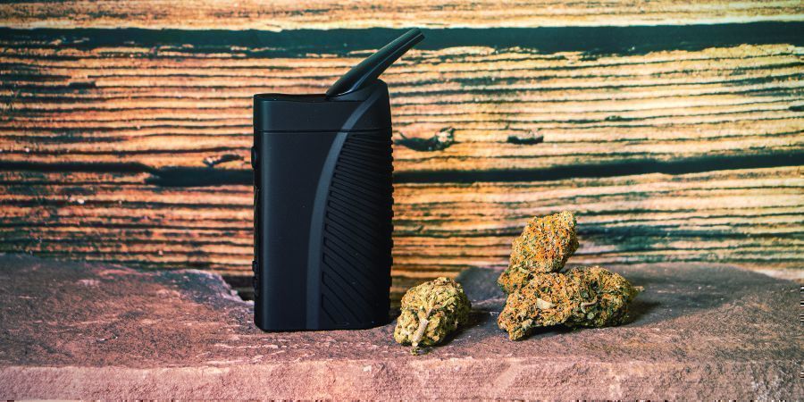 ANVÄND FÄRSKA CANNABISBLOMMOR