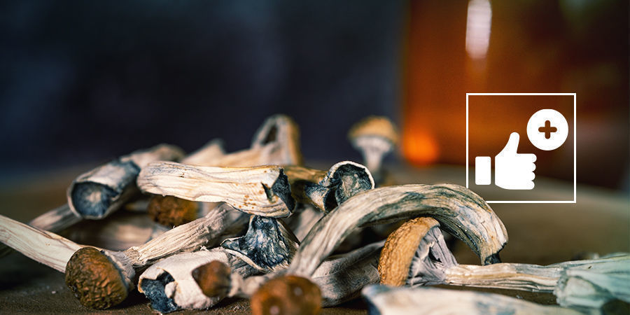 Vilka är fördelarna med blå honung? What Are the Benefits of Blue Honey?