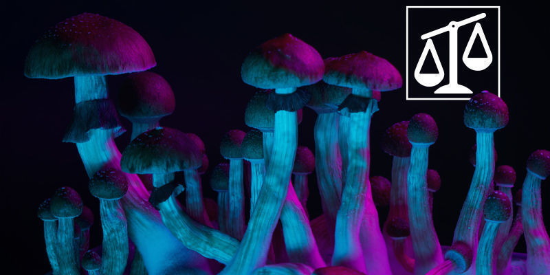 Skillnader mellan psykedelika Differences Between Psychedelics