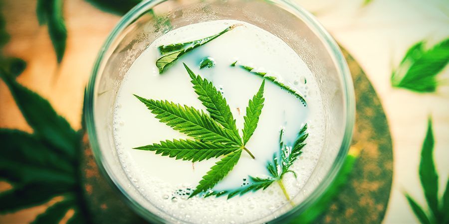 Andra naturliga ingredienser (mjölk, cayennepeppar, kanel) Andra naturliga ingredienser (mjölk, cayennepeppar, kanel) – spraya cannabis med bladsprej