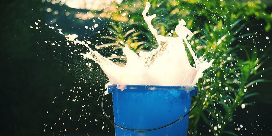 Kaliumtvål Potassium Soap - foliar spray your cannabis