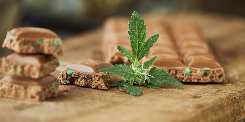 Cannabischoklad Cannabis Chocolate