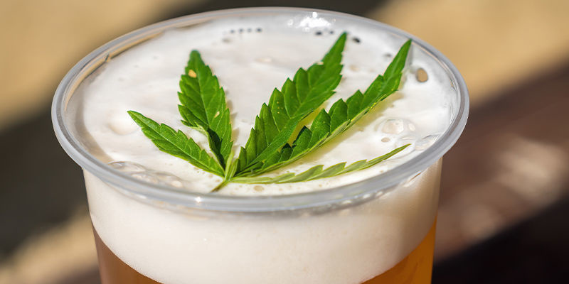 Cannabisöl Cannabis Beer