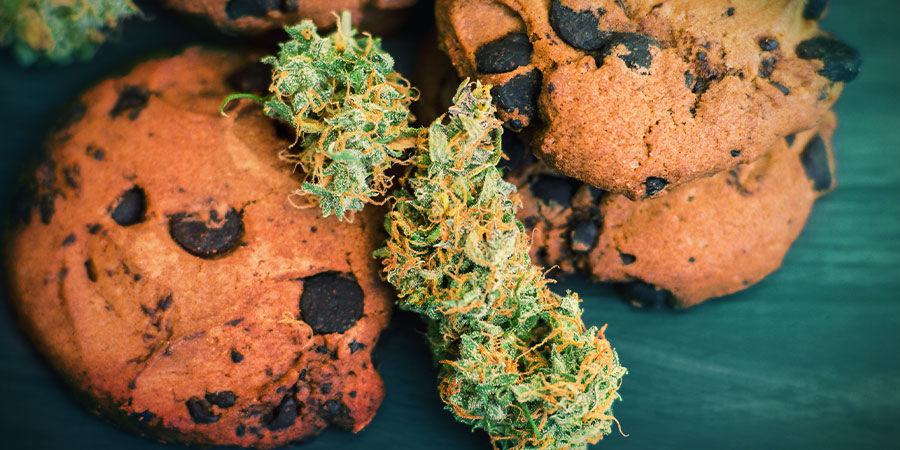 Girl Scout Cookies: Smak & effekter GIRL SCOUT COOKIES: FLAVOUR & EFFECTS