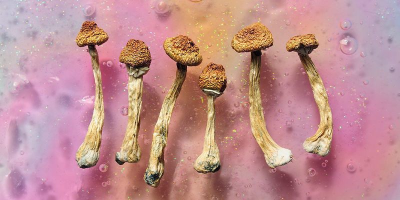 Psilocybin & psilocin: Putting the magic in mushrooms Psilocybin & psilocin: Putting the magic in mushrooms