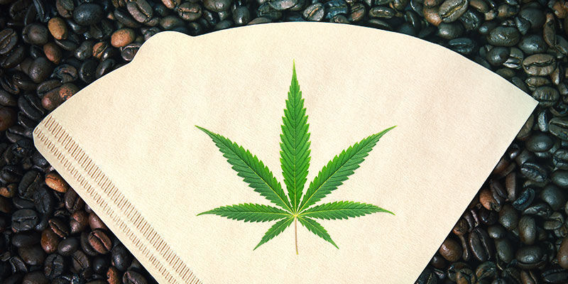 Göra bubble hash – metod 1: bubble hash med kaffefilter Göra bubble hash – metod 1: bubble hash med kaffefilter