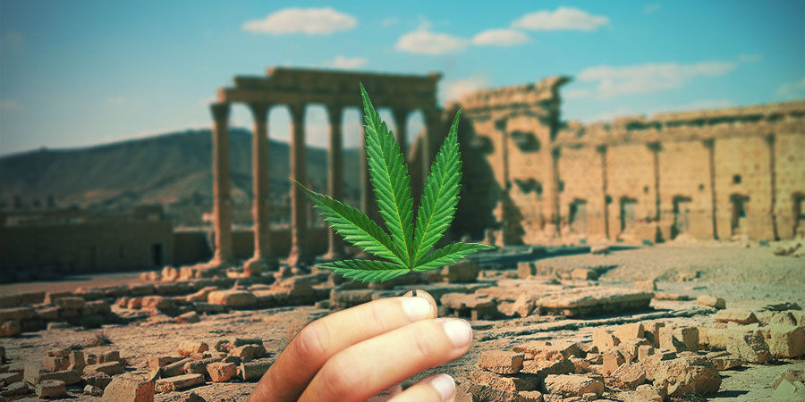 En kort historik över hampa A BRIEF HISTORY OF HEMP