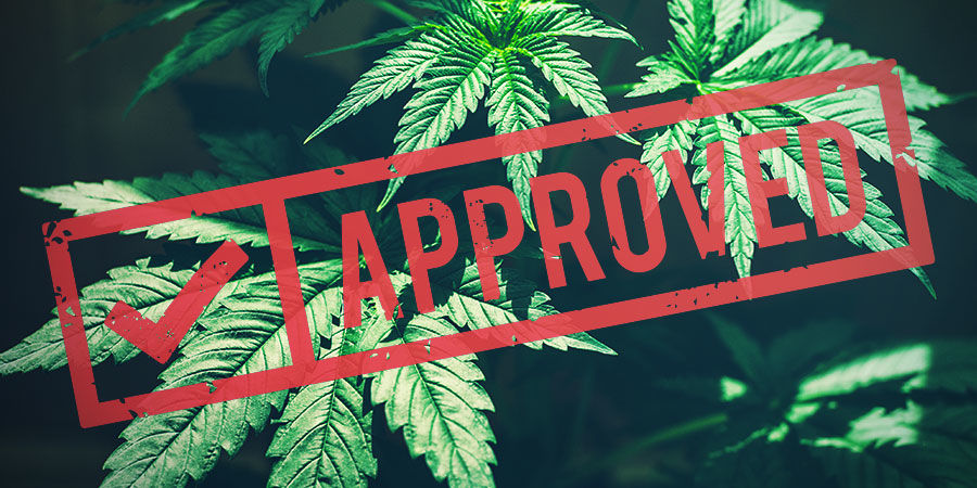 Senaste utvecklingen och framtiden för hampa RECENT DEVELOPMENTS AND THE FUTURE OF HEMP
