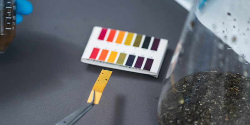 Tips #7: Håll rätt pH i din cannabisodling Tip #7: Properly maintain the pH of your cannabis crop