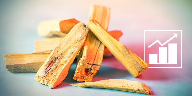 Effekterna av palo santo-trä Effekterna av palo santo-trä