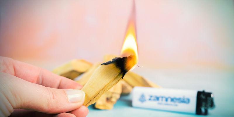Så bränner du palo santo-pinnar Så bränner du palo santo-pinnar