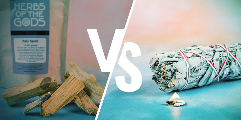 Palo Santo-trä vs salvia Palo Santo Wood vs Sage