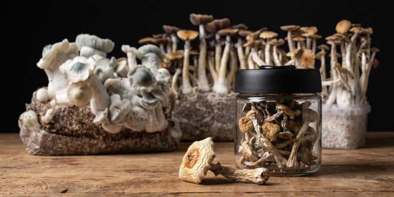 Strains för erfarna användare Strains för erfarna användare