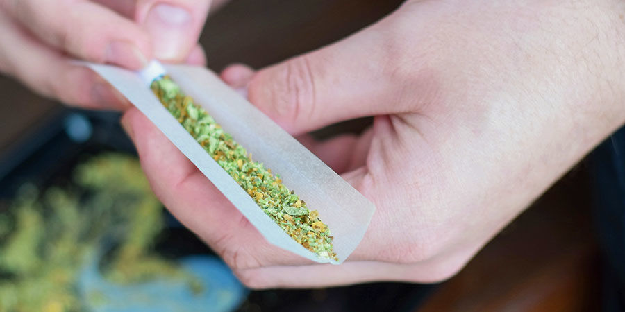 Bygga upp cannabistolerans: vad innebär det? Building A Cannabis Tolerance: What Does It Mean?