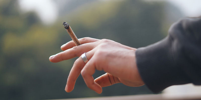 Vad innebär det att vara hög på cannabis? What Does It Mean To Be High On Cannabis?