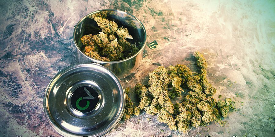 CVault förvaring av cannabis CVault storing Weed