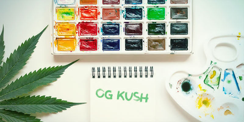 Egenskaper hos OG Kush Characteristics of OG Kush