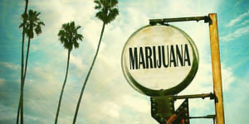 Född och uppfödd i Florida OG Kush-cannabis: född och uppfödd i Florida