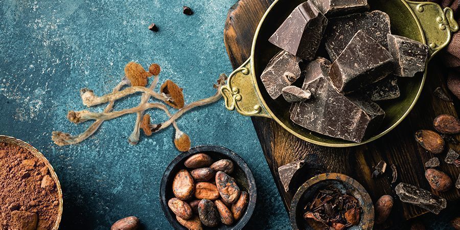 Choklad med magiska svampar