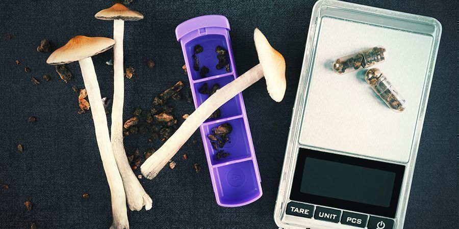 Magiska svampar i kapslar Magic Mushroom Capsules