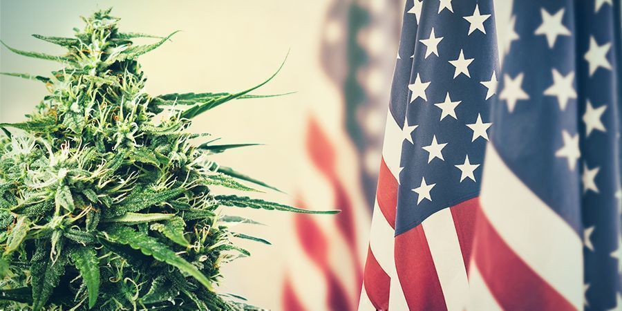 Från beskattning till förbud Cannabis: FROM TAXATION TO PROHIBITION