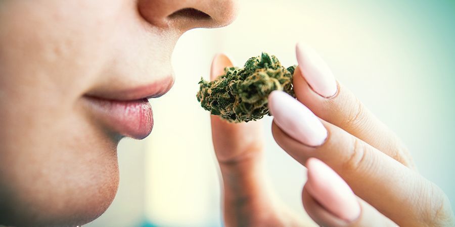 Smak och arom hos Blue Dream FLAVOUR AND AROMA OF BLUE DREAM