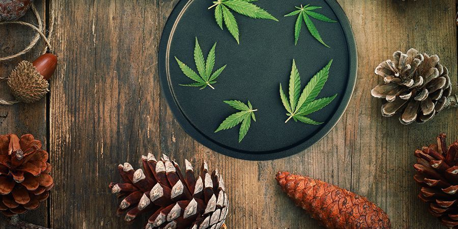 Master Kush: Smak & effekter MASTER KUSH: FLAVOUR & EFFECTS