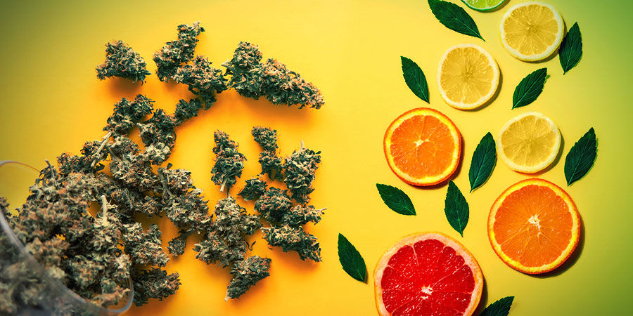 Sour Diesel : Smak & effekter Sour Diesel : Flavour & Effects
