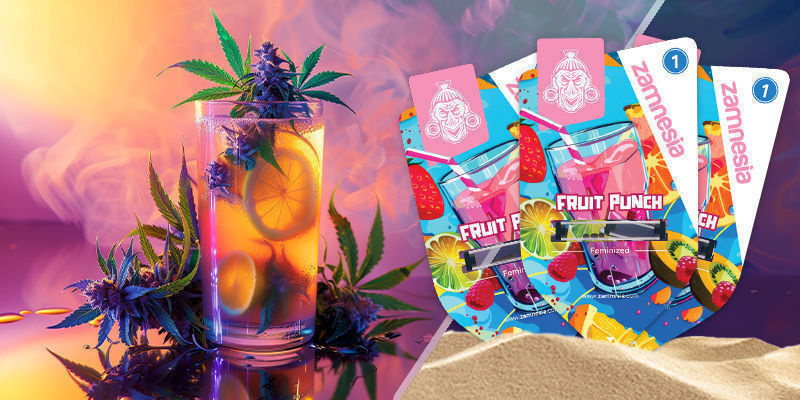 Fruit Punch Fruit Punch